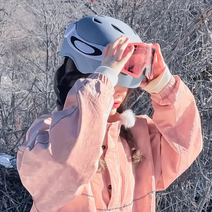 与鲨同泳